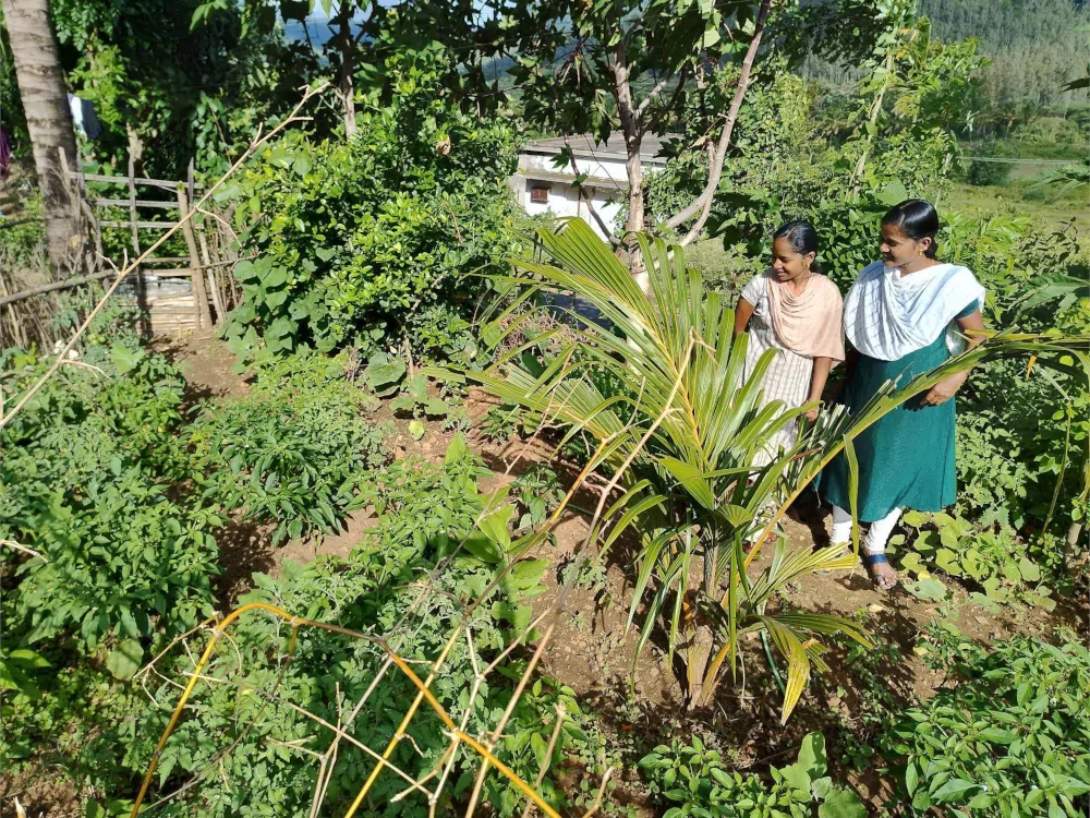 veg-garden